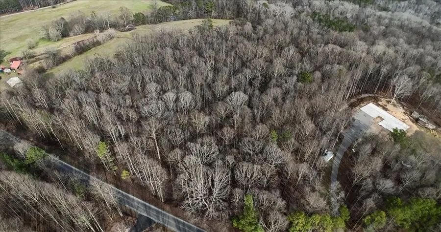 0 Swan Bridge Road, Talking Rock, GA 30175 - Image #2