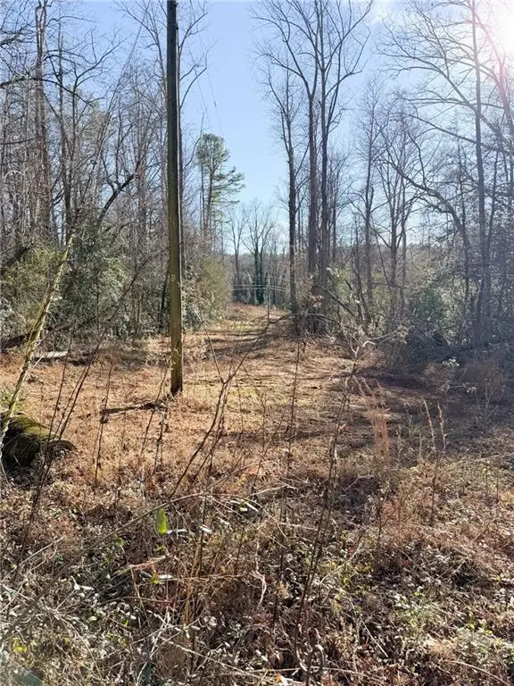 0 Highway 19 N N, Dahlonega, GA 30533 - #3