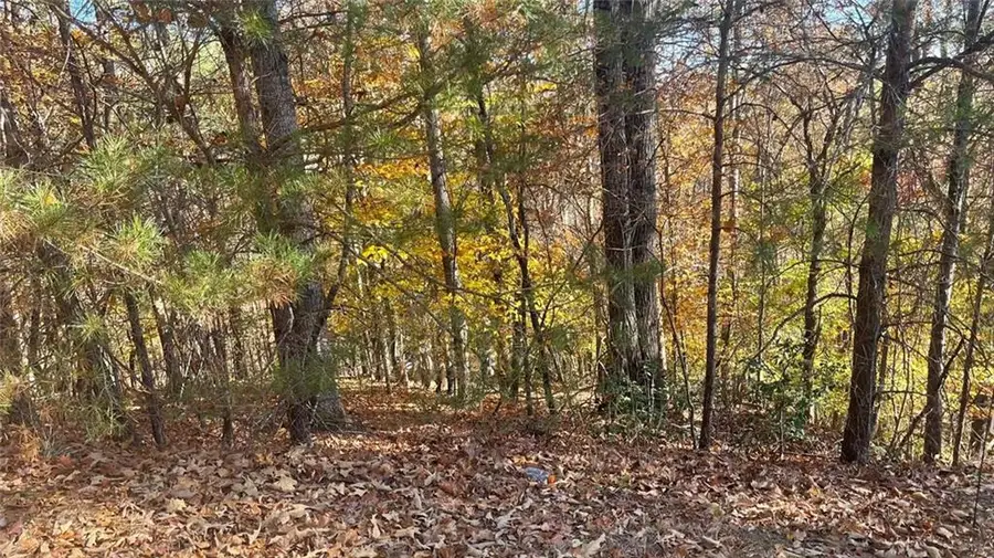 0 Hyalite Road W, Dahlonega, GA 30533 - #2