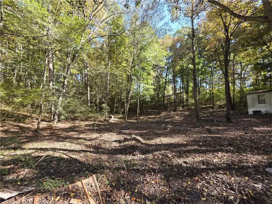 405 Chambers Lane, Ringgold, GA 30736 - #3