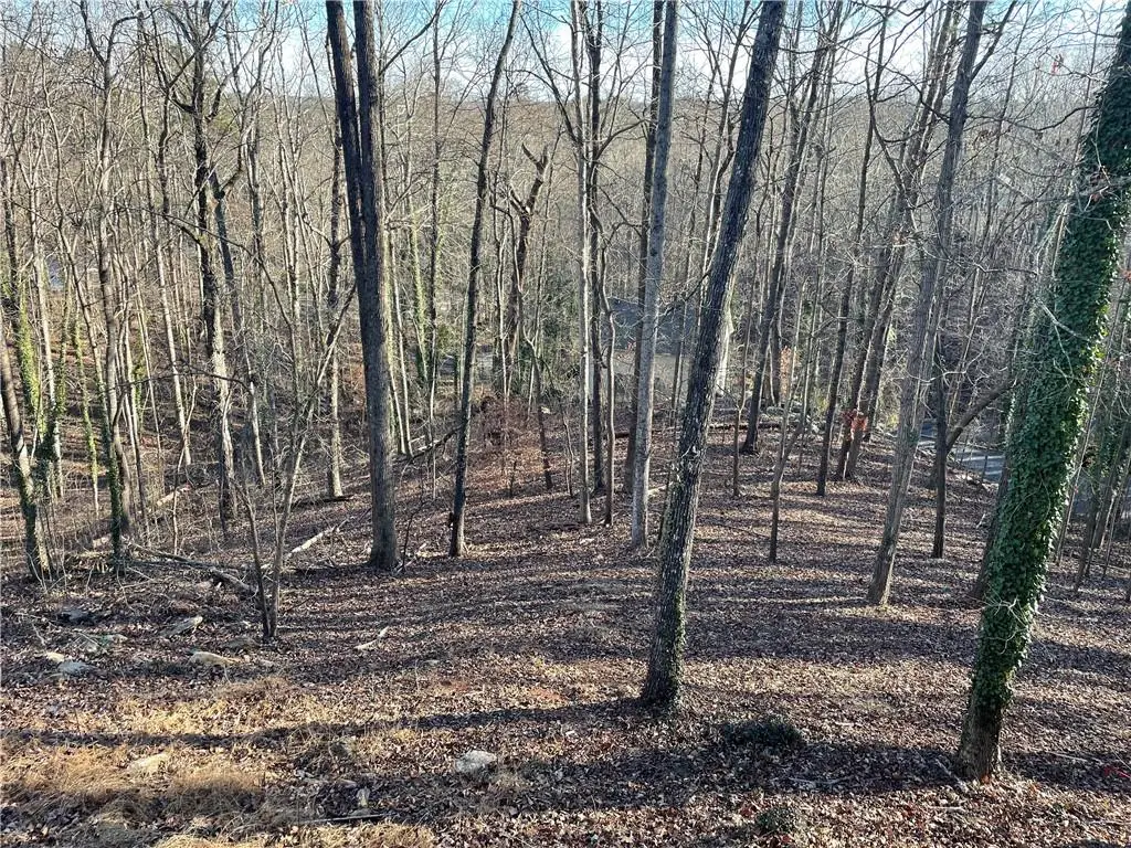 0 Lakeside Court #110, Gainesville, GA 30506 - Image #1