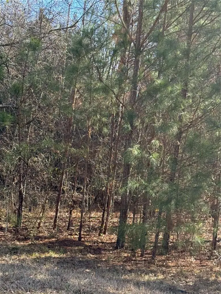 13905 Brown Bridge Road, Covington, GA 30016 - Image #1