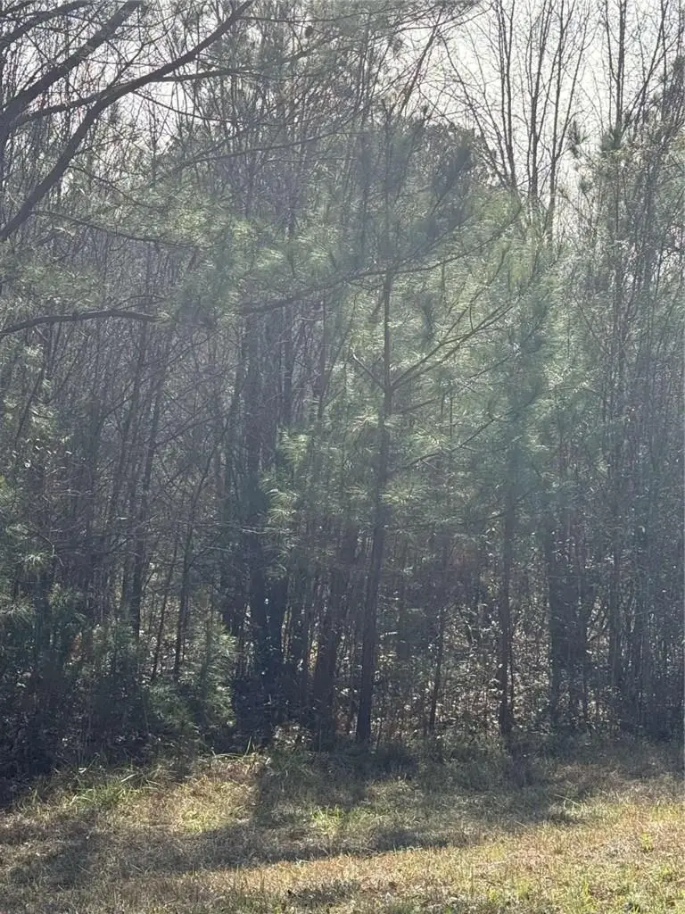 13905 Brown Bridge Road, Covington, GA 30016 - Image #2