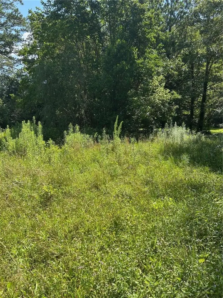 2370 Ebenezer Road, Conyers, GA 30094 - #3