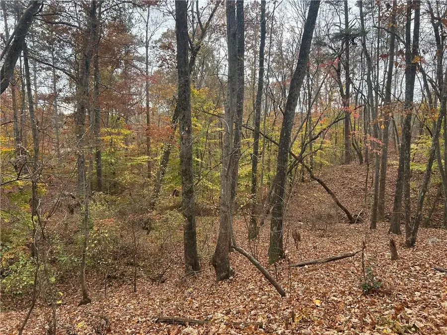 932 Sardis Road, Canton, GA 30114 - #2