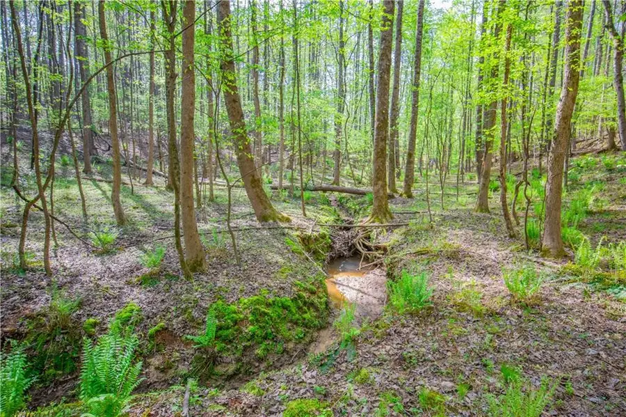 0 Lake Esther Drive, Fairburn, GA 30213 - Image #3