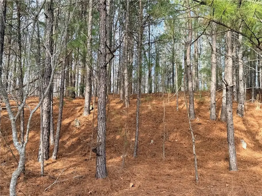 1573 Norris Lake Way, Snellville, GA 30039 - #2