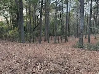 4795 Truman Mountain, Gainesville, GA 30506 - #2