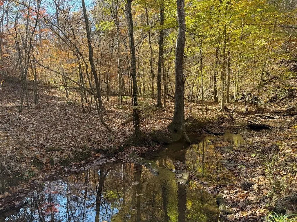 286 Carnes Road Sw, Cartersville, GA 30120 - Image #1