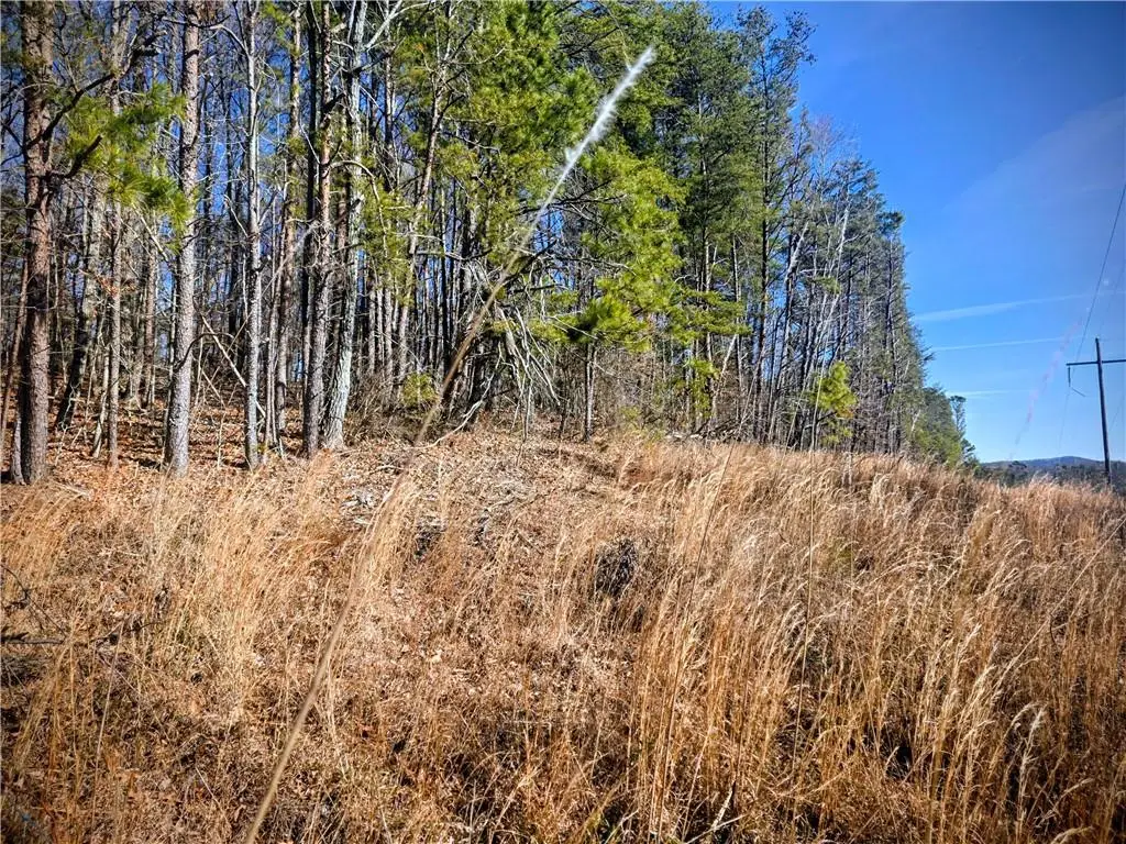 TBD Cowart Mountain Tract 3 Road, Jasper, GA 30143 - #1