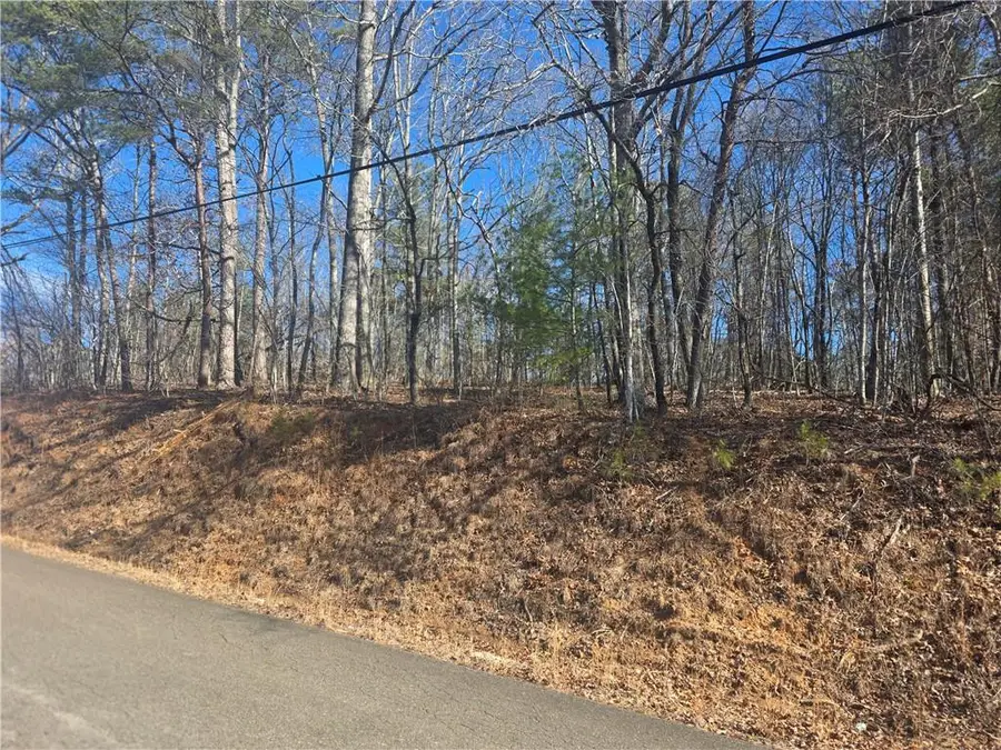 TBD Cowart Mountain Tract 3 Road, Jasper, GA 30143 - #3