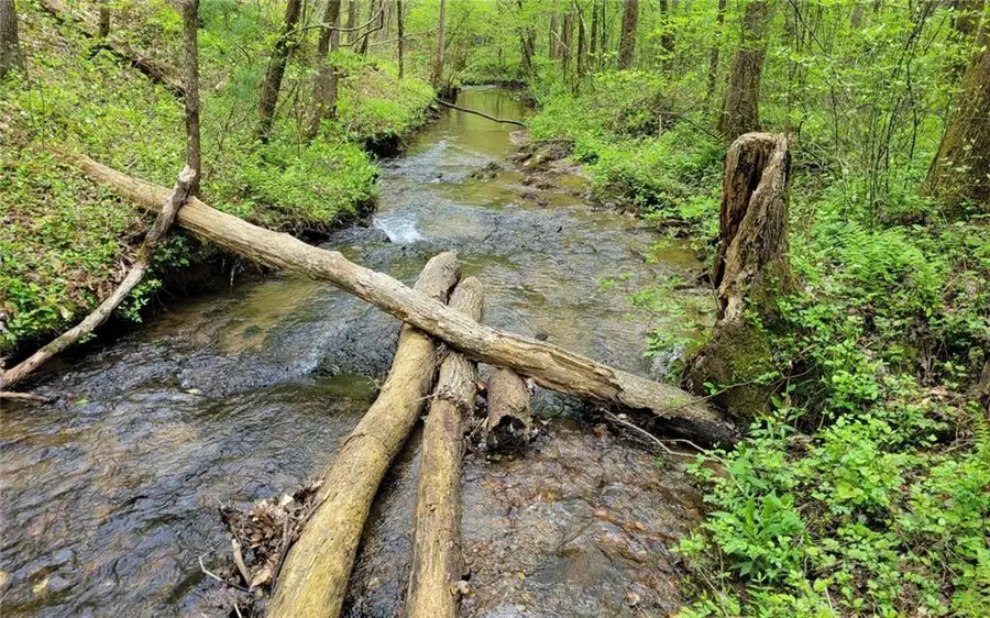 LOT27 Oak Ridge, Ellijay, GA 30536 - #2