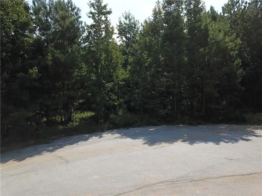 7732 Austin Court, Winston, GA 30187 - #3