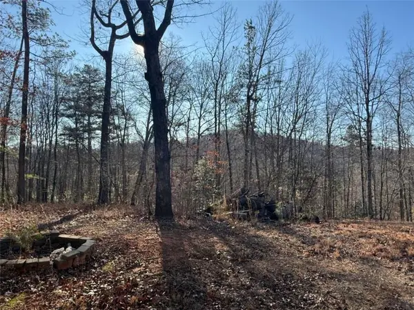 426 Rockhouse Crossing, Demorest, GA 30535