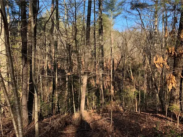 240 N Sanderlin Mtn Drive, Jasper, GA 30143