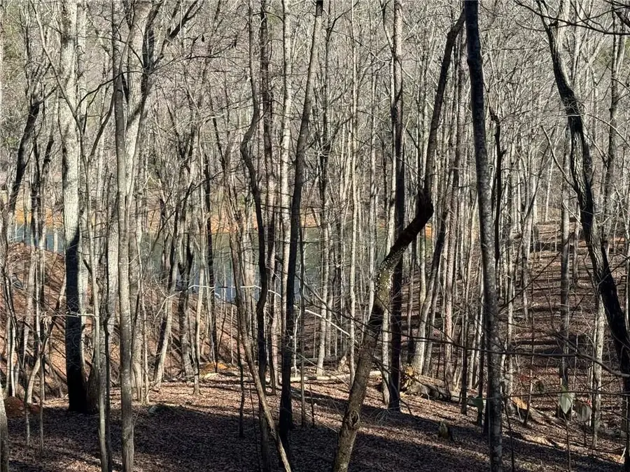 70 Geyser Court, Ranger, GA 30734 - Image #3