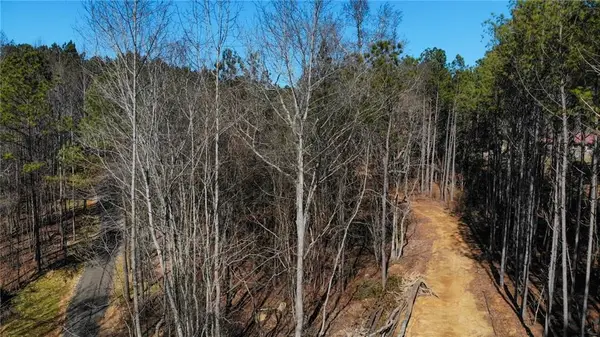 5.168 Acres On Pete Path, Dallas, GA 30157