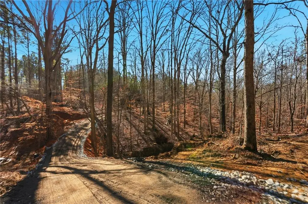 6.731 Acres On Pete Path, Dallas, GA 30157 - #1