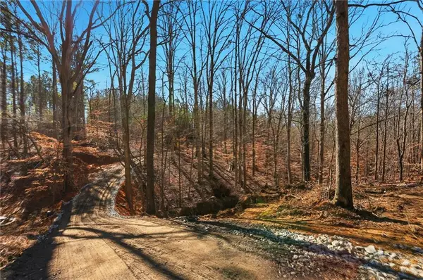 6.731 Acres On Pete Path, Dallas, GA 30157