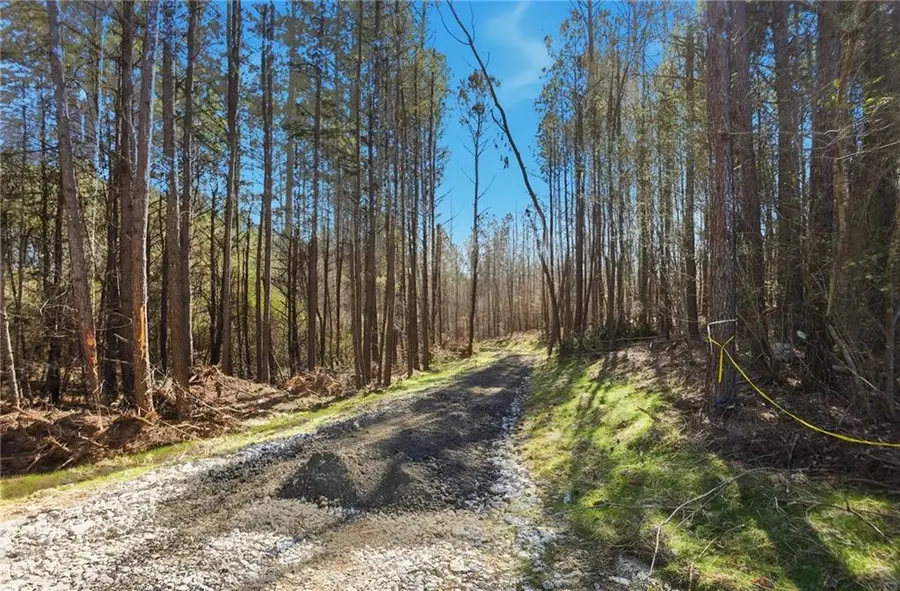 6.731 Acres On Pete Path, Dallas, GA 30157 - #2
