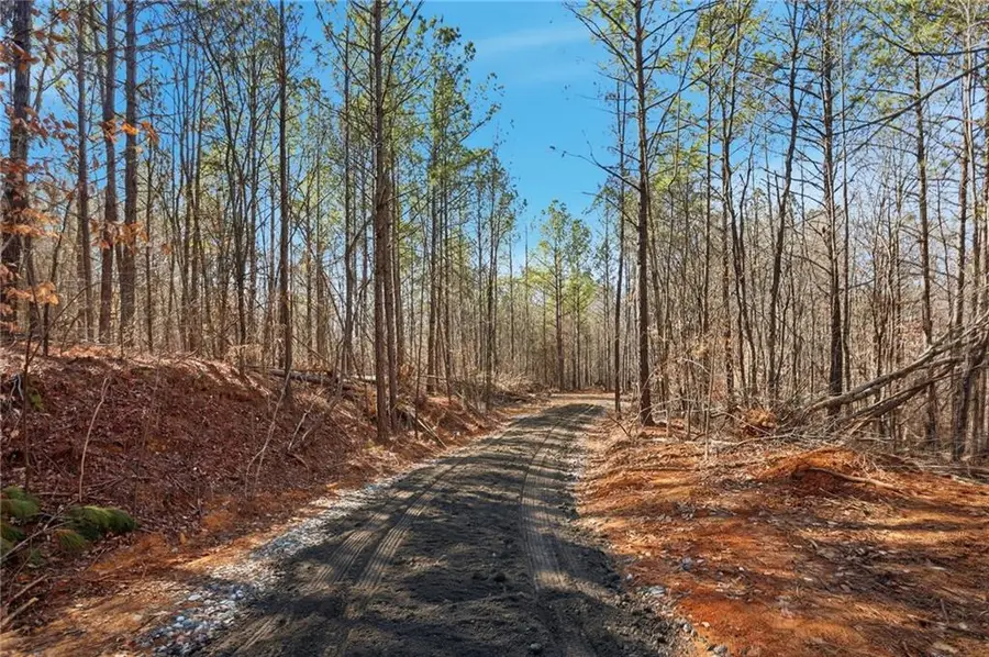 6.731 Acres On Pete Path, Dallas, GA 30157 - #3