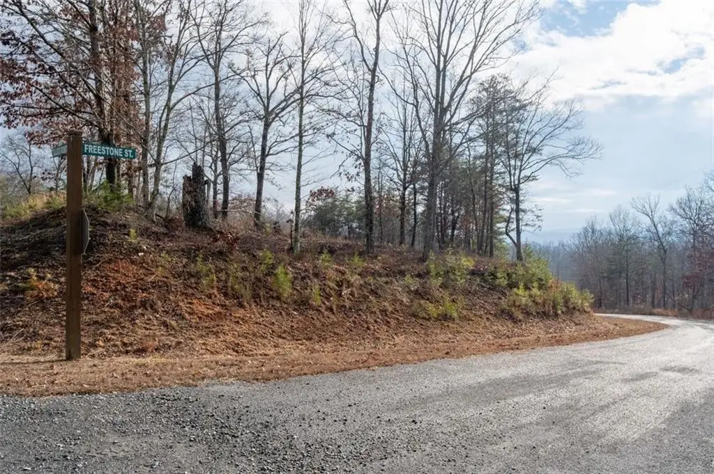 0 Freestone Street, Talking Rock, GA 30175 - #1