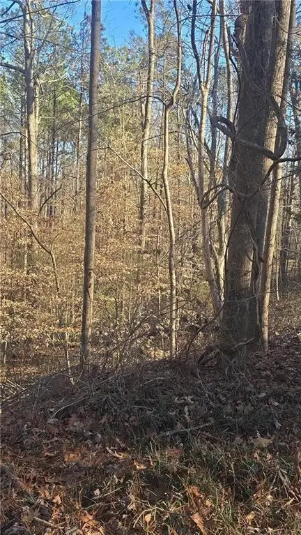 4440 Susans Way, Snellville, GA 30039 - #1