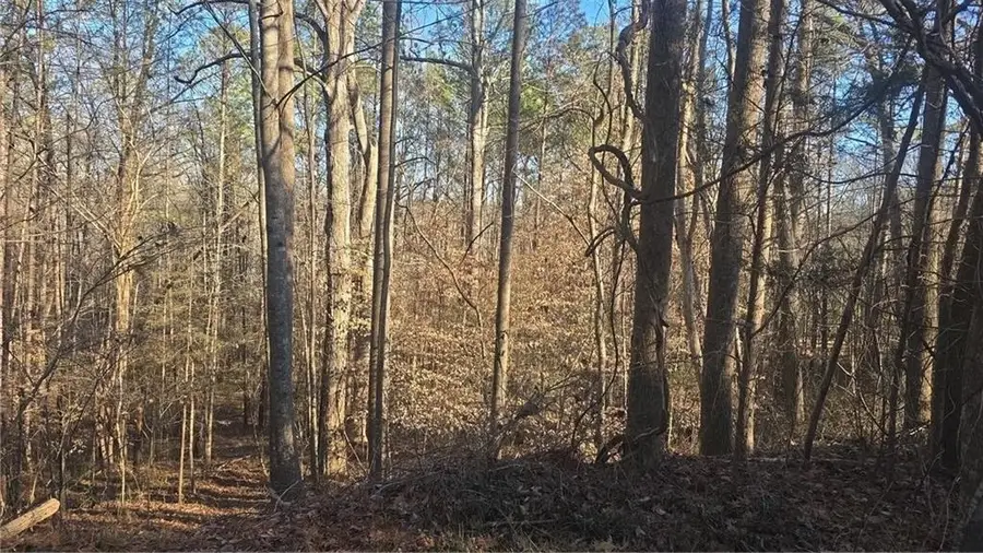 4440 Susans Way, Snellville, GA 30039 - #2