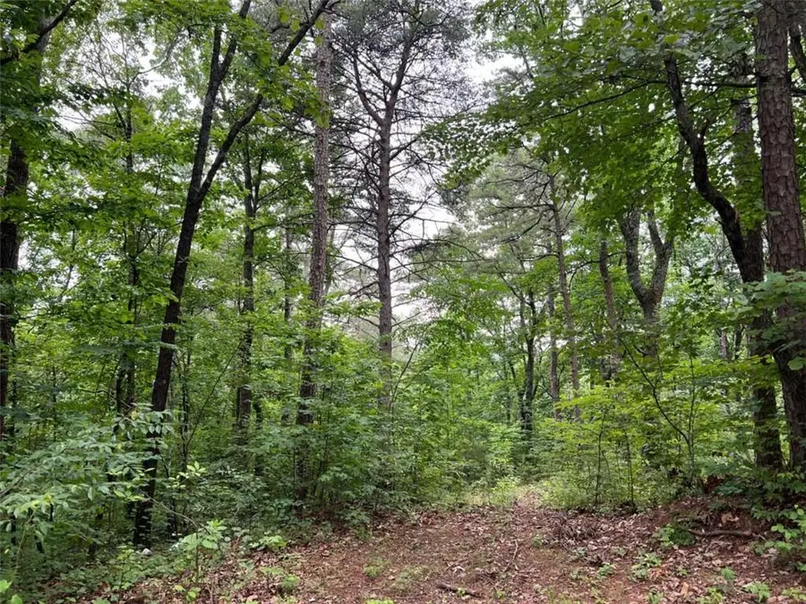 198 Log Round Mountain Trail, Ellijay, GA 30540 - Image #2