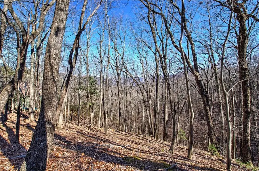 0 Walnut Mountain Road, Ellijay, GA 30536 - Image #2