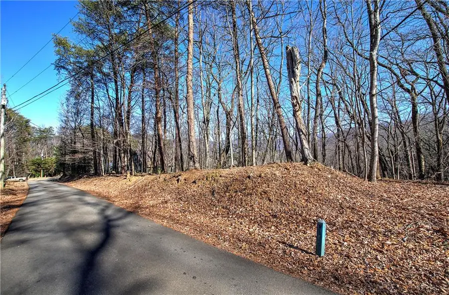 0 Walnut Mountain Road, Ellijay, GA 30536 - Image #3