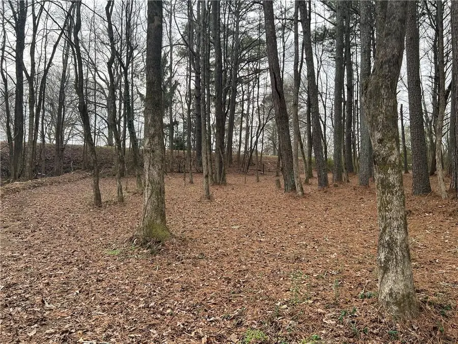 163 Bryant Road, Summerville, GA 30747 - Image #2