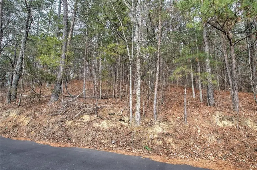 00 Manning Mill Road, Summerville, GA 30747 - Image #3