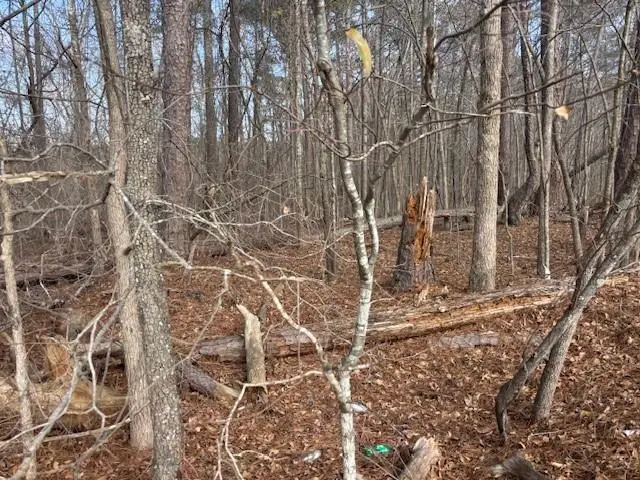 401 Cannon Farm Road, Oxford, GA 30054 - Image #2