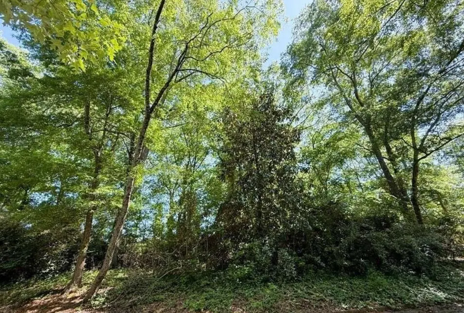 0 Oak Dr Drive, Elberton, GA 30635 - Image #1