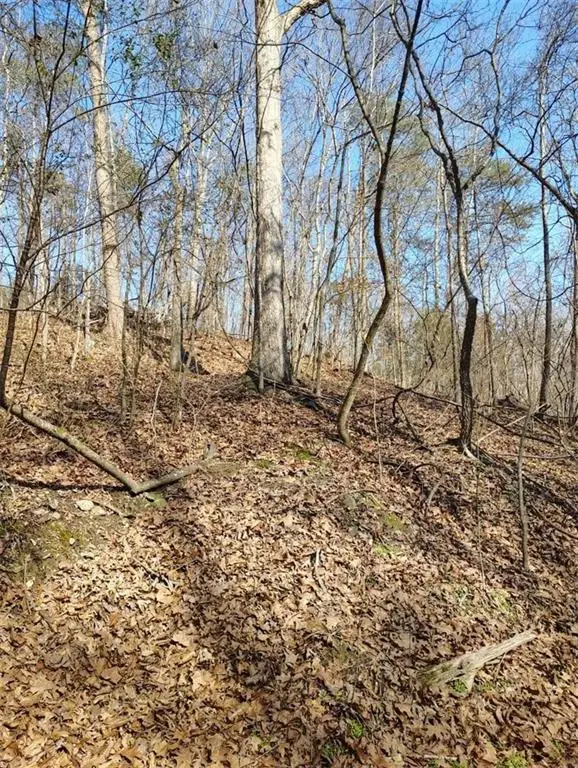 0000 Braswell Road, Rockmart, GA 30153