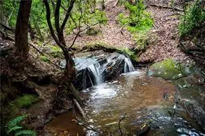 0 Jones Road, Ball Ground, GA 30107 - Image #3