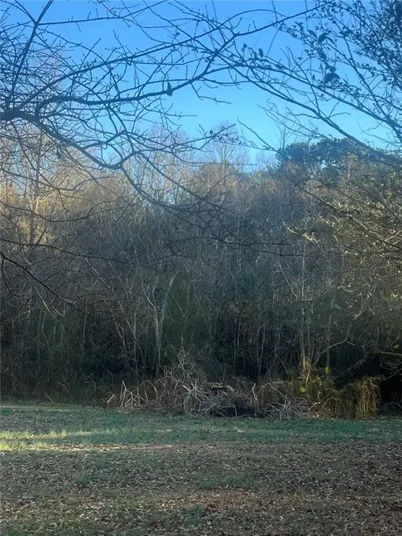 587 E Johnson Street, Temple, GA 30179 - Image #2