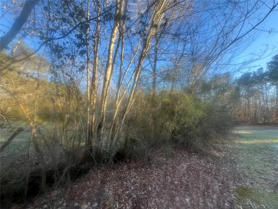 587 E Johnson Street, Temple, GA 30179 - Image #3