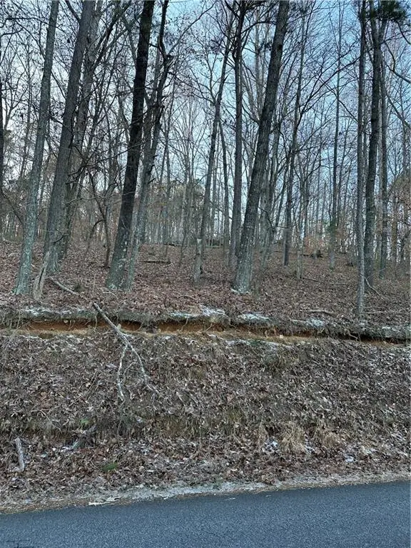 1148 Cokers Chapel Road, Ball Ground, GA 30107 - #2