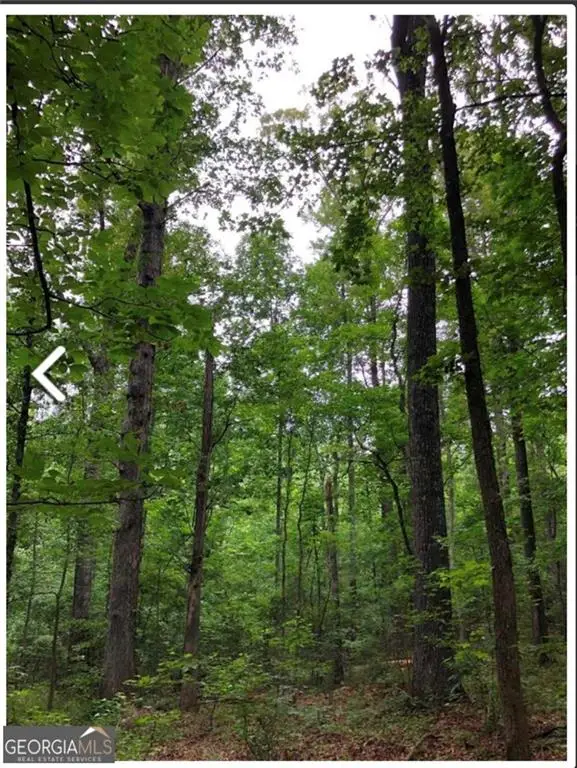 0 Hall Road, South Fulton, GA 30213 - Image #3