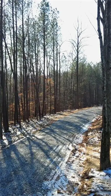 6375 Elmo Road, Cumming, GA 30028 - #3