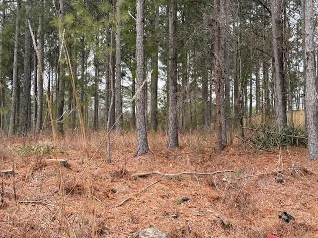 266 Old Yorkville Rd, Dallas, GA 30157 - #1