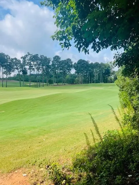 124 Hawks Court, Ball Ground, GA 30107