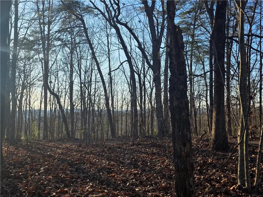 0 Carters Lake Overlook, Ellijay, GA 30540 - #1