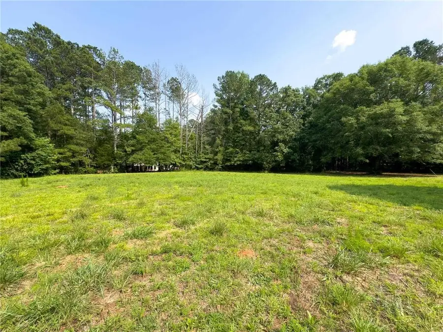 0 Howard Road, Senoia, GA 30276 - Image #2