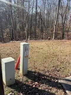 225 Standing Oak Place, Fayetteville, GA 30214 - Image #3