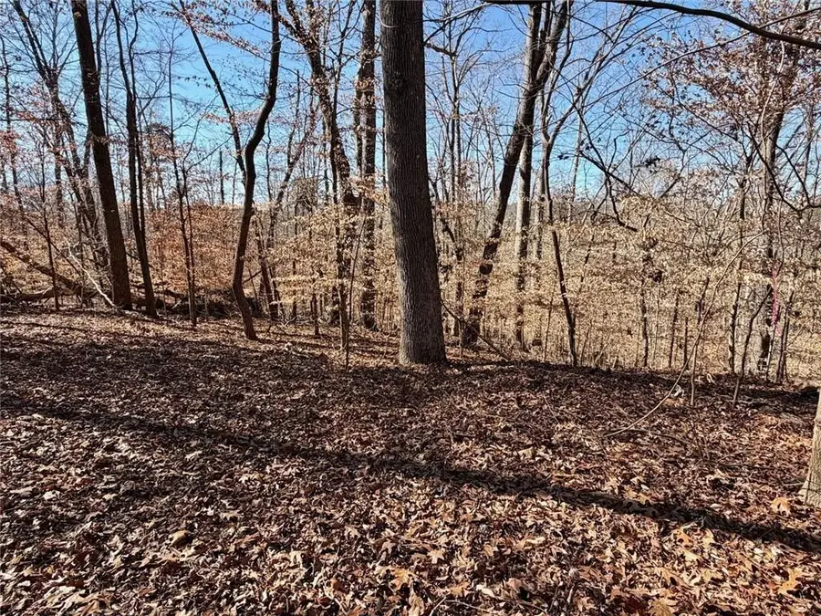 0 Arrowhead Court, Lavonia, GA 30553 - #2