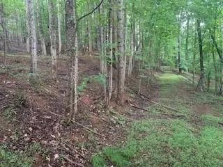 63-65 Deerwood Circle, Dahlonega, GA 30533 - Image #2