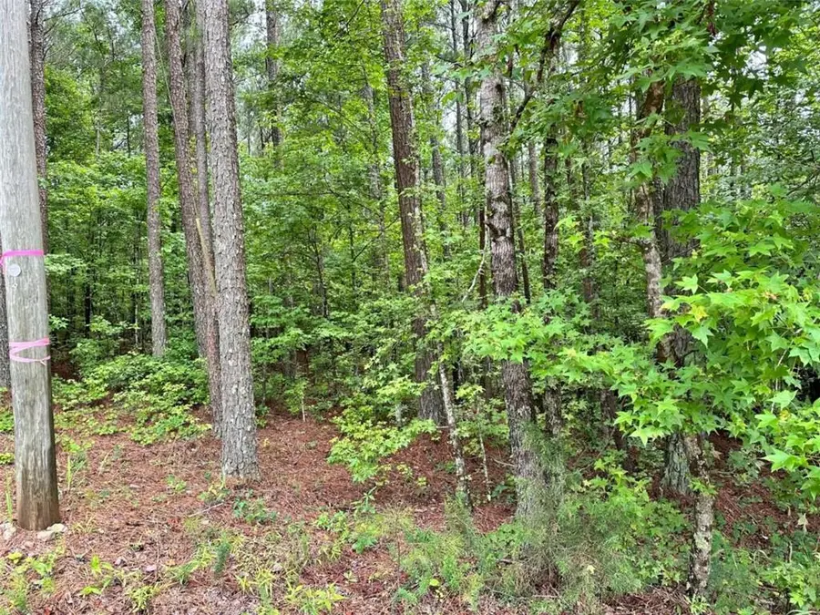 131 Ext Johnson Road, Locust Grove, GA 30248 - #3